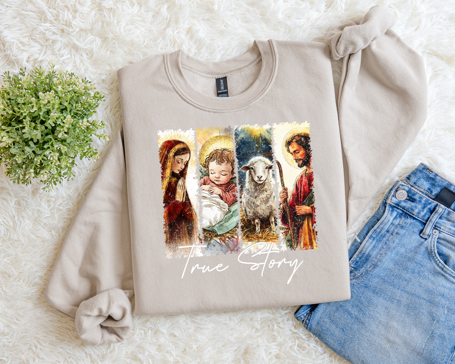 True Story(4 Panel) Sweatshirt.